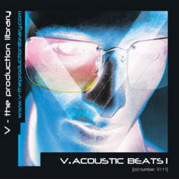 V.Acoustic Beats 1