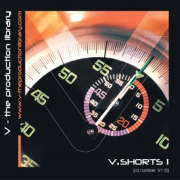 V.Shorts 1