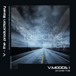 V.Moods 1