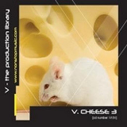 V.Cheese 3