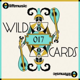 Liftmusic Wildcards 17