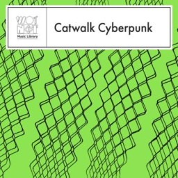 Catwalk Cyberpunk