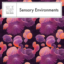 Sensory Environments