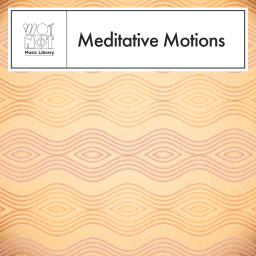 Meditative Motions