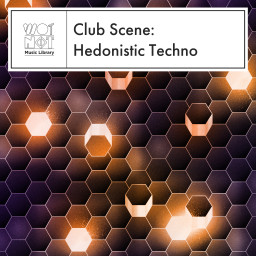 Club Scene: Hedonistic Techno