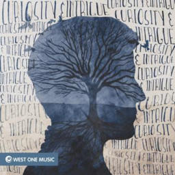 Curiosity And Intrigue