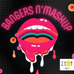 Bangers 'N Mashup