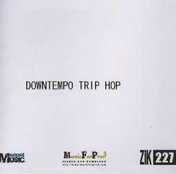 Downtempo Trip Hop
