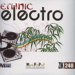 Ethnic Electro