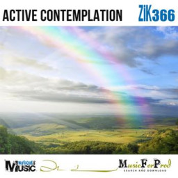 Active Contemplation 