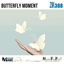 Butterfly Moment