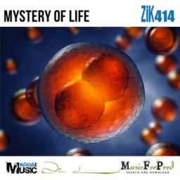 Mystery Of Life