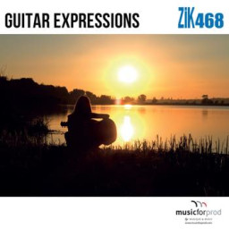 Guitar Expressions