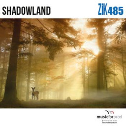 Shadowland