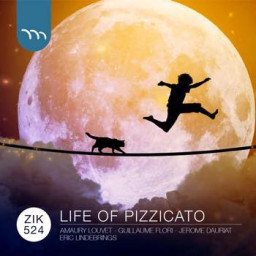 Life Of Pizzicato
