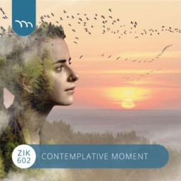 CONTEMPLATIVE MOMENT