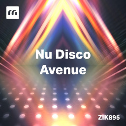 Nu Disco Avenue