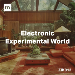 Electronic Experimental World