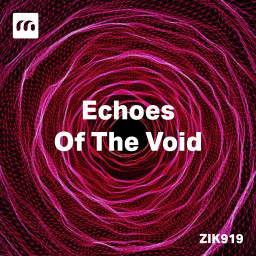 Echoes Of The Void