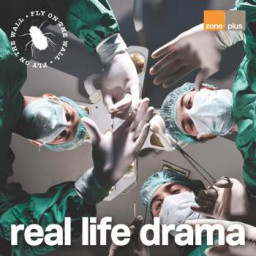 Fly On The Wall - Real Life Drama