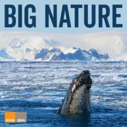 Big Nature
