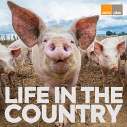 Life In The Country