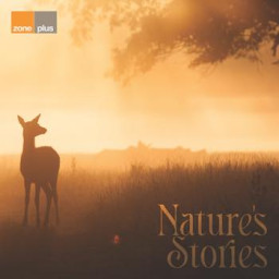 Nature's Stories