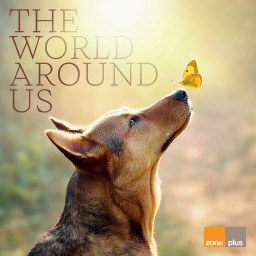 The World Around Us