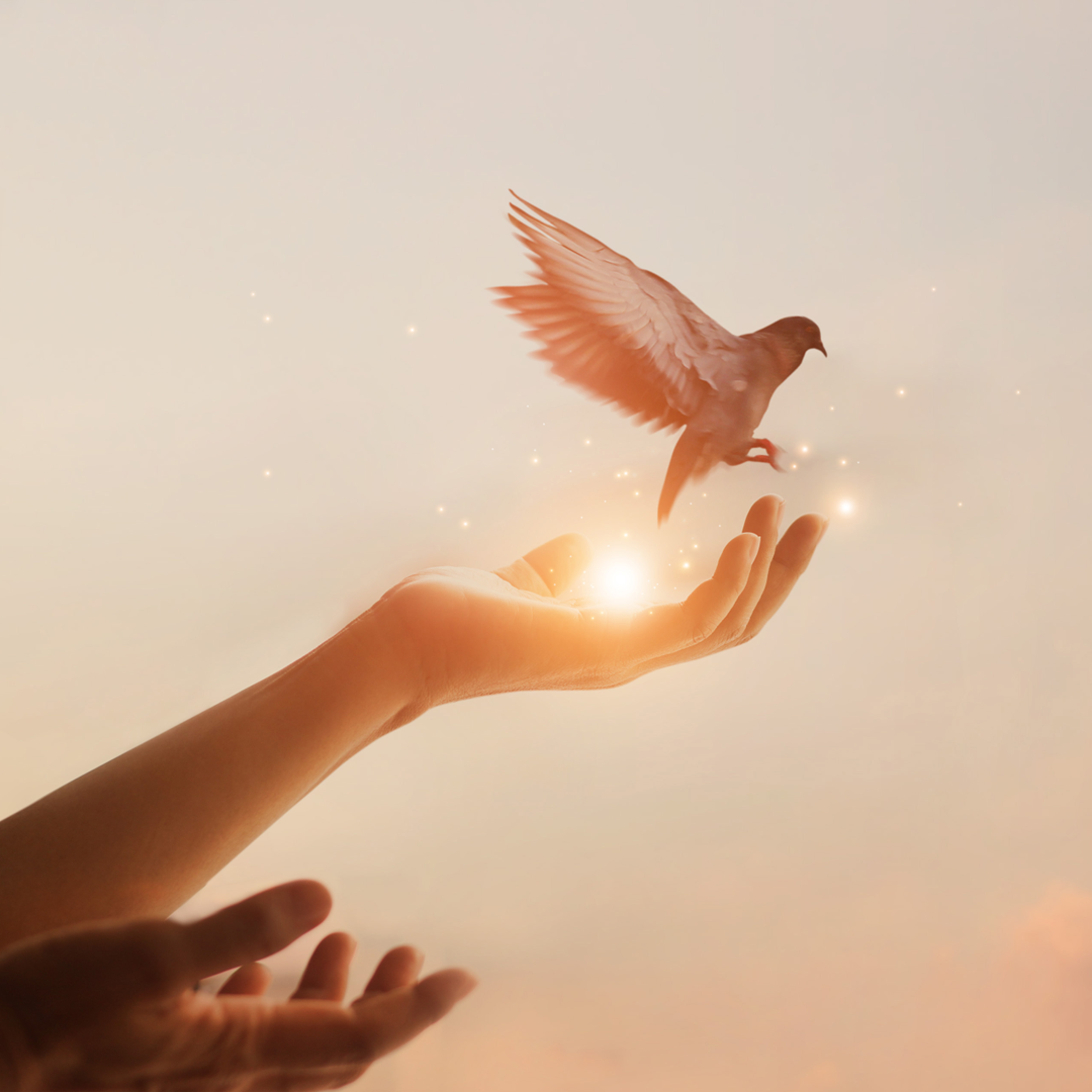 プレイリスト画像