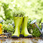 プレイリスト画像