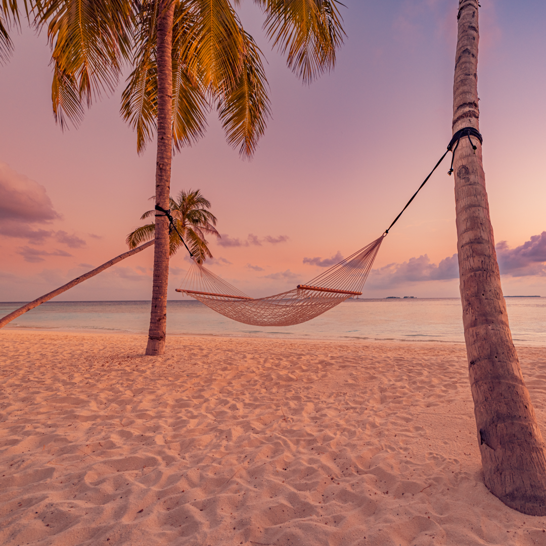 プレイリスト画像