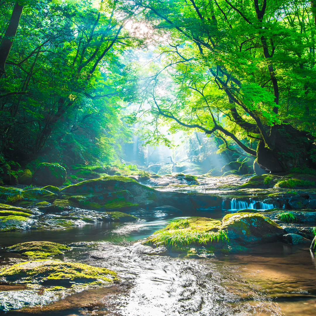 プレイリスト画像