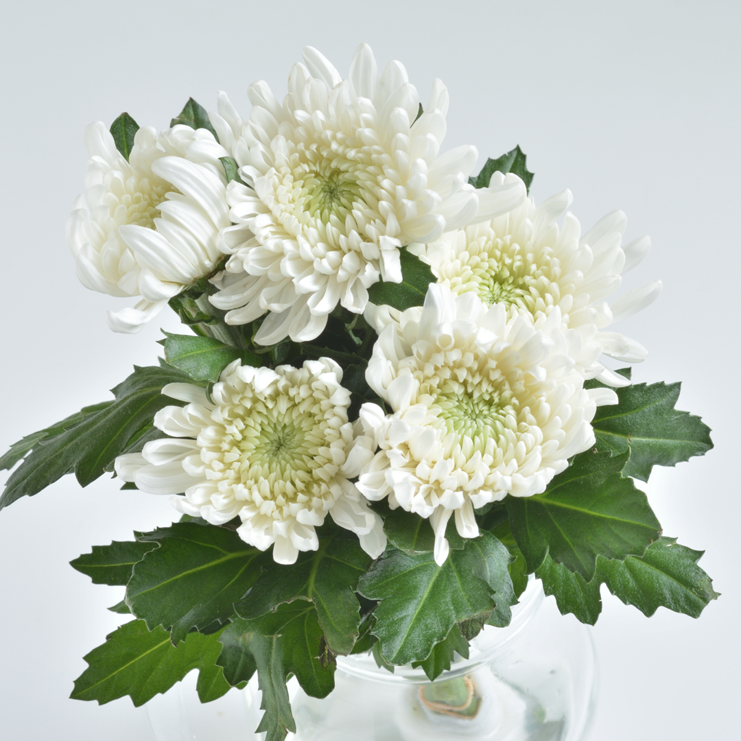 プレイリスト画像